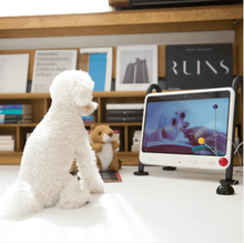 Load image into Gallery viewer, DOGSPLAY Smart TV