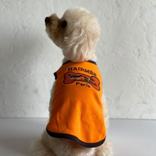 Load image into Gallery viewer, Hairmes Bone Dog Carriage On Tangerine