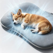 Load image into Gallery viewer, POPOCOLA Electric Dog Cooling Mat
