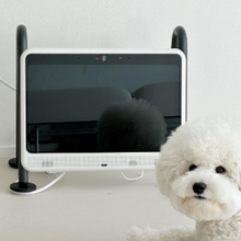 Load image into Gallery viewer, DOGSPLAY Smart TV