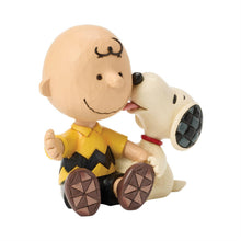 Load image into Gallery viewer, Charlie Brown with Snoopy