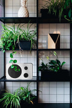 Load image into Gallery viewer, iCreation HiFi Karaoke Speaker