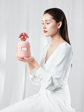 Load image into Gallery viewer, Guzi Facial Steamer