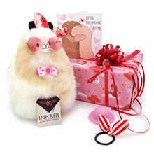 Load image into Gallery viewer, Alpaca Accessory Set
