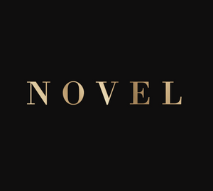 A Novel Store