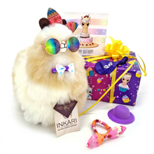 Load image into Gallery viewer, Alpaca Accessory Set
