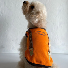 Load image into Gallery viewer, Hairmes Suspenders &amp; Paws On Tangerine

