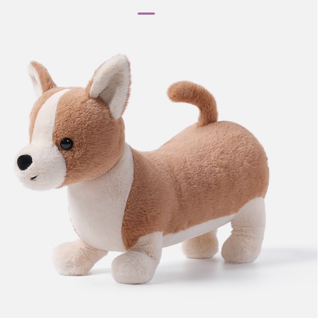McHugs Peachy Butt Corgi