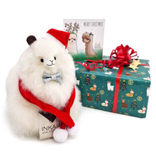 Load image into Gallery viewer, Alpaca Accessory Set
