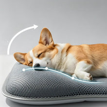 Load image into Gallery viewer, POPOCOLA Electric Dog Cooling Mat
