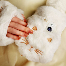 Load image into Gallery viewer, Cat Meow Handwarmer Gloves
