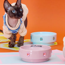 Load image into Gallery viewer, Marsmail Pet Babel Tower Bowl
