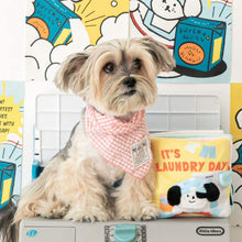Load image into Gallery viewer, Dog Sniffing Book
