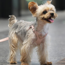 Load image into Gallery viewer, Puppytie Pet Harness Vest and Adjustable Leash Set (triangle mark)
