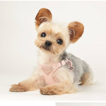 Load image into Gallery viewer, Puppytie Pet Harness Vest and Adjustable Leash Set (triangle mark)
