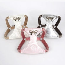 Load image into Gallery viewer, Puppytie Pet Harness and Leash Set (Bow Mark)
