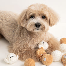 Load image into Gallery viewer, Squeaky Dog Ball (Set of 2)
