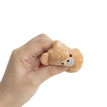 Load image into Gallery viewer, Squeaky Dog Ball (Set of 2)
