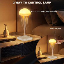 Load image into Gallery viewer, Jellyfish Lamp

