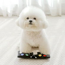 Load image into Gallery viewer, Piano Dog Sniffing Book
