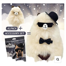 Load image into Gallery viewer, Alpaca Accessory Set
