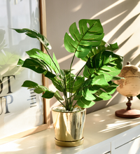 Load image into Gallery viewer, Faux Greenery Decor
