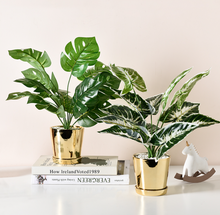 Load image into Gallery viewer, Faux Greenery Decor
