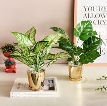 Load image into Gallery viewer, Faux Greenery Decor
